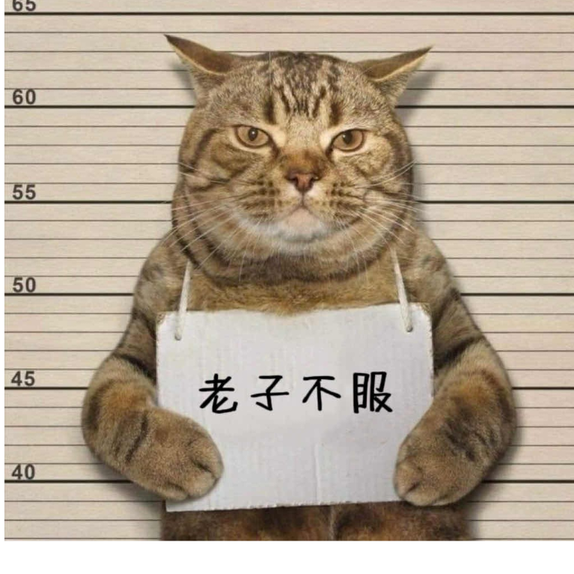 酒舞二妻