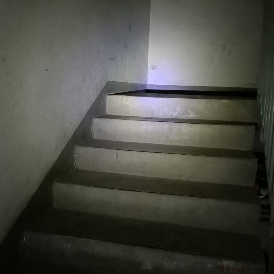 小鲨乌狗
