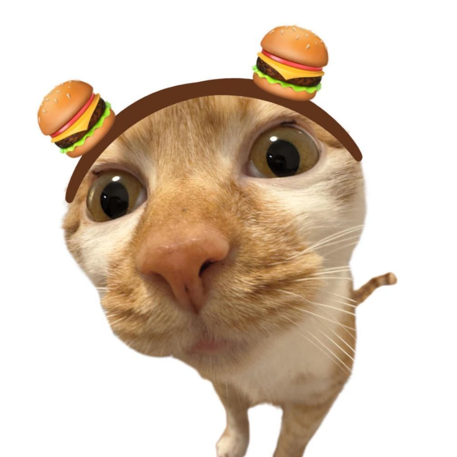 我是小猫吖