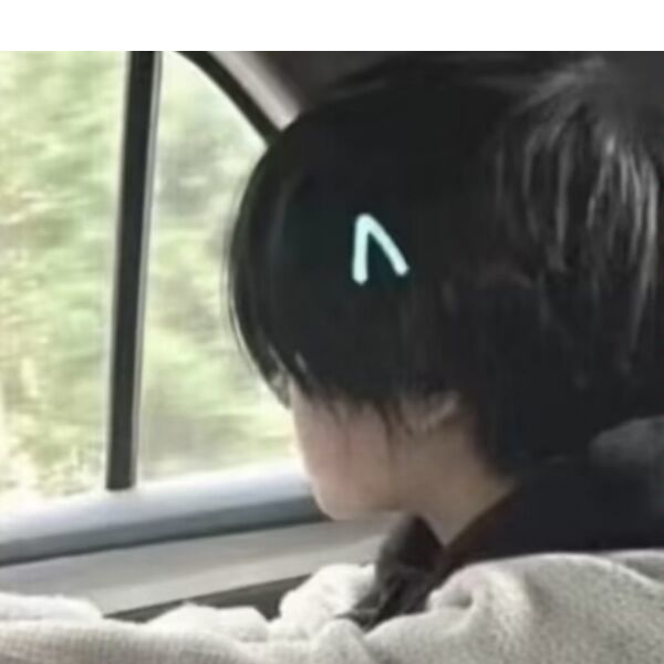 护短
