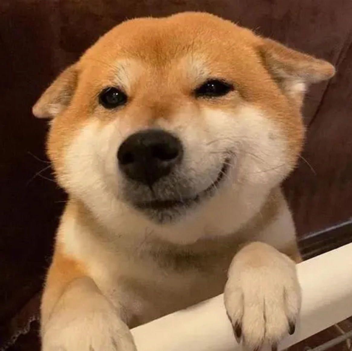 迷离