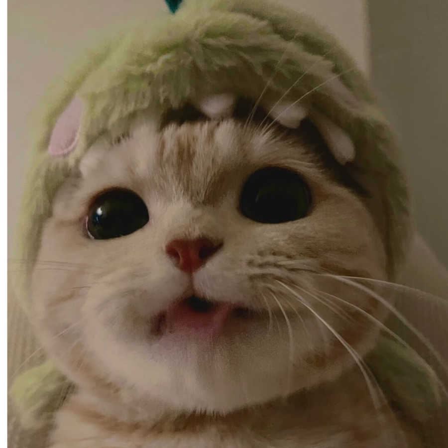 袁宝