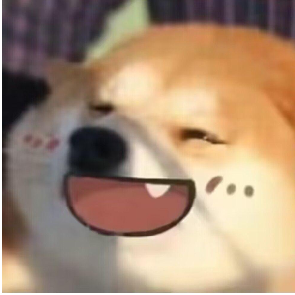 鲤