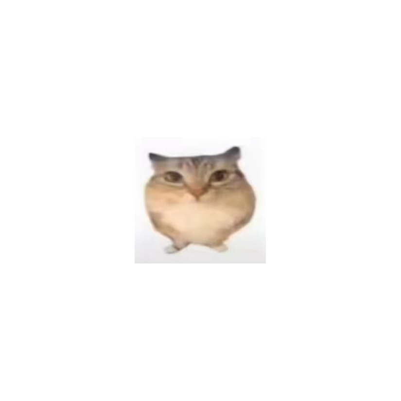 小果