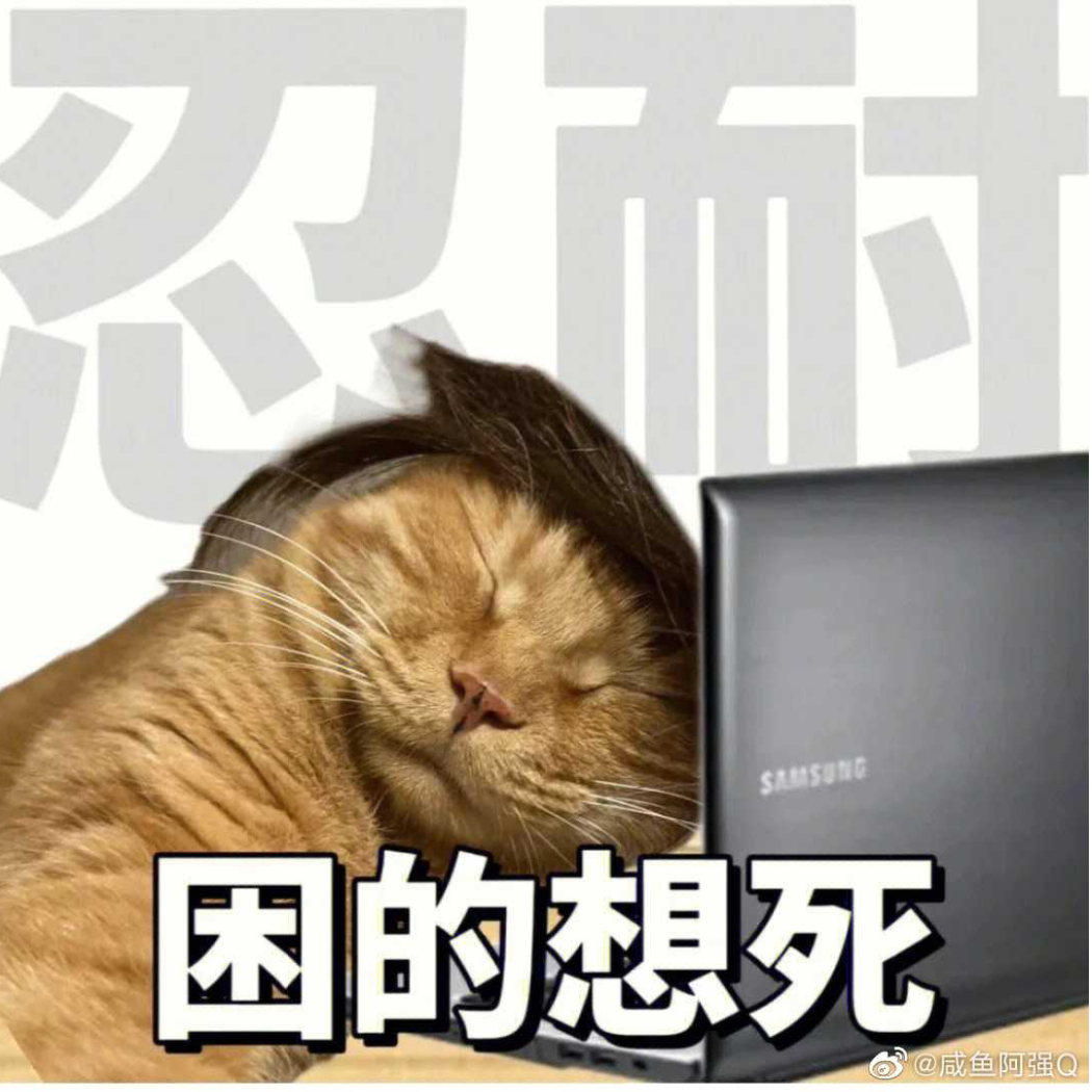 黑猫桑