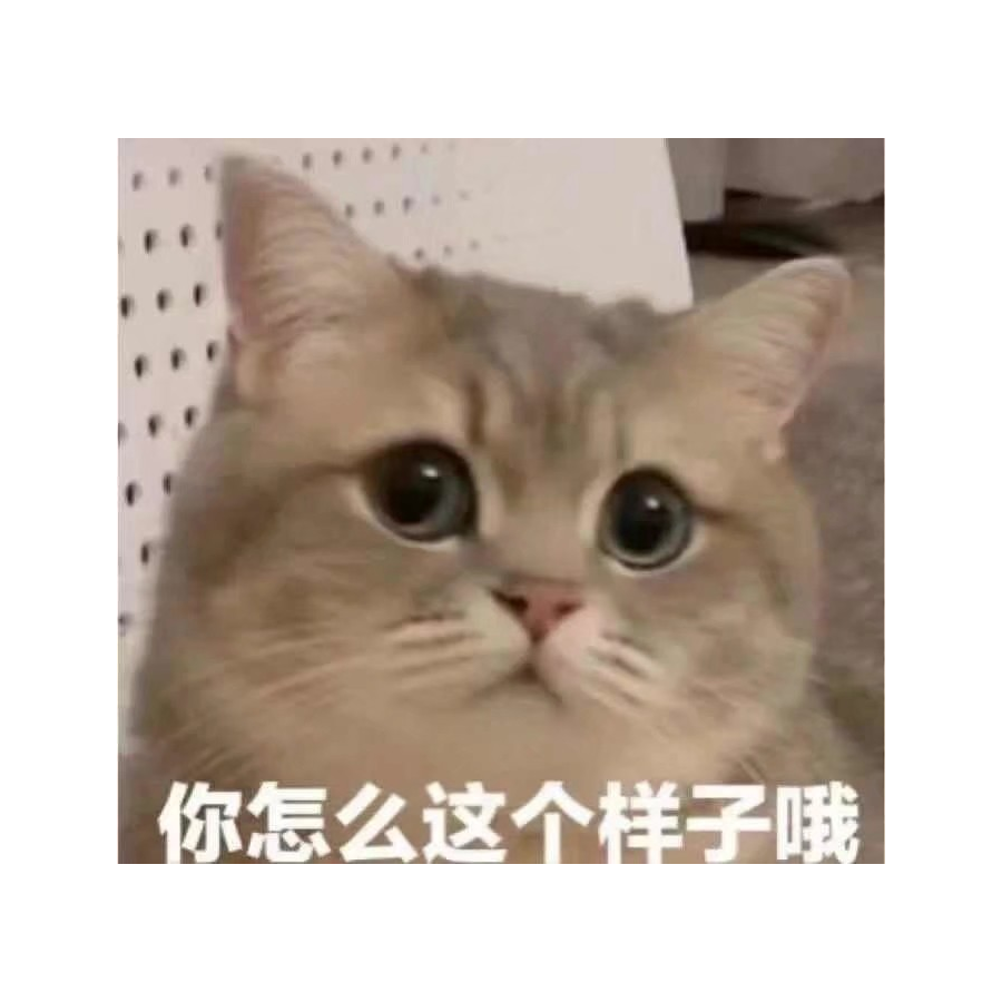 哈哈哈