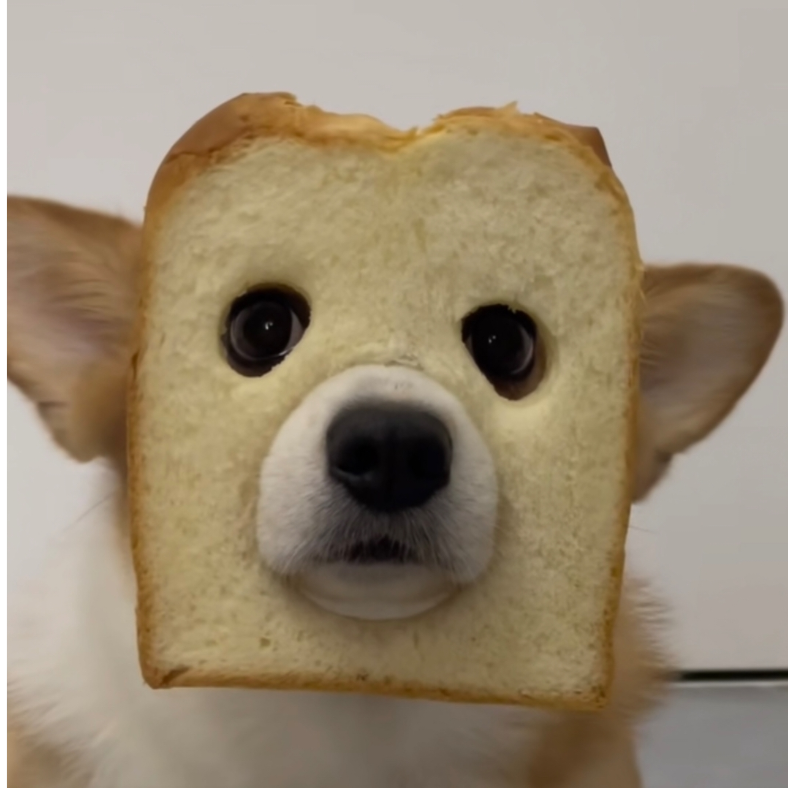贝尔