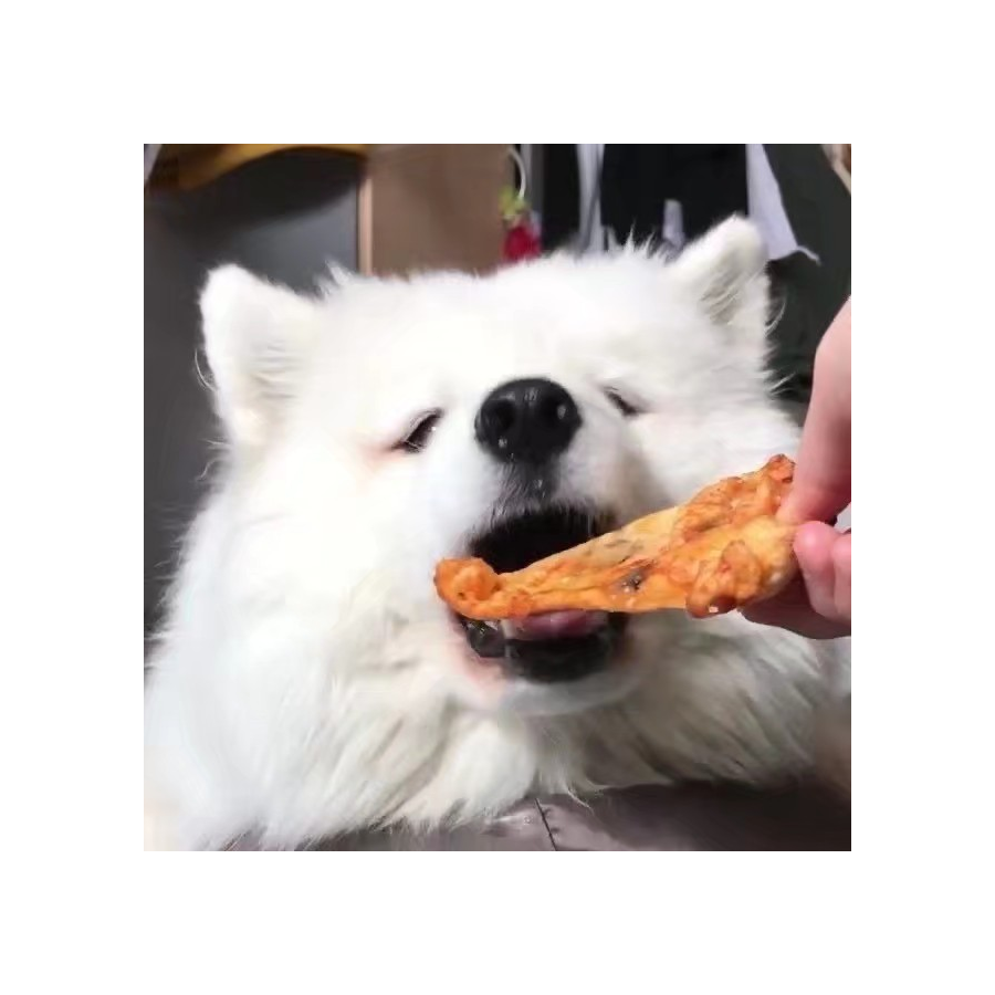 獒齐