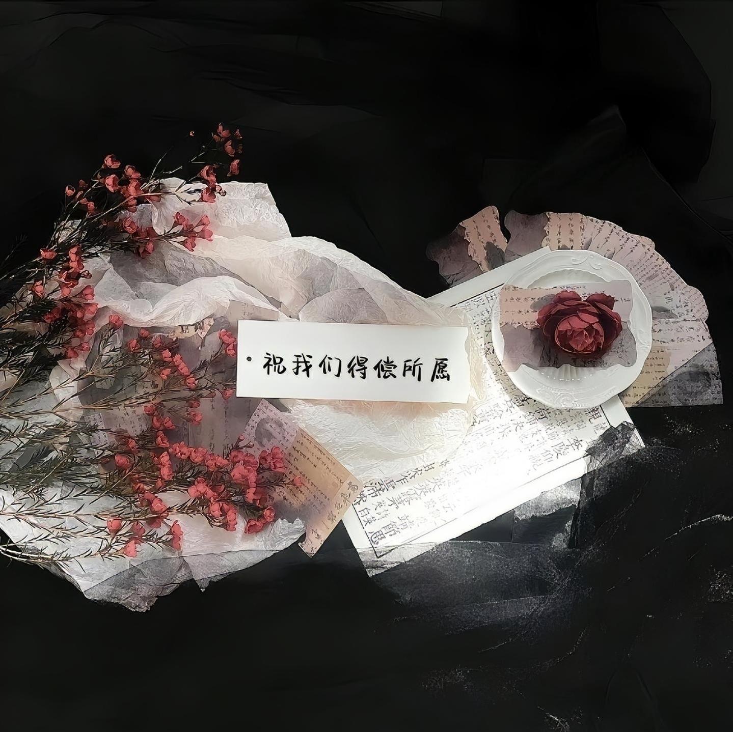 努力的小美
