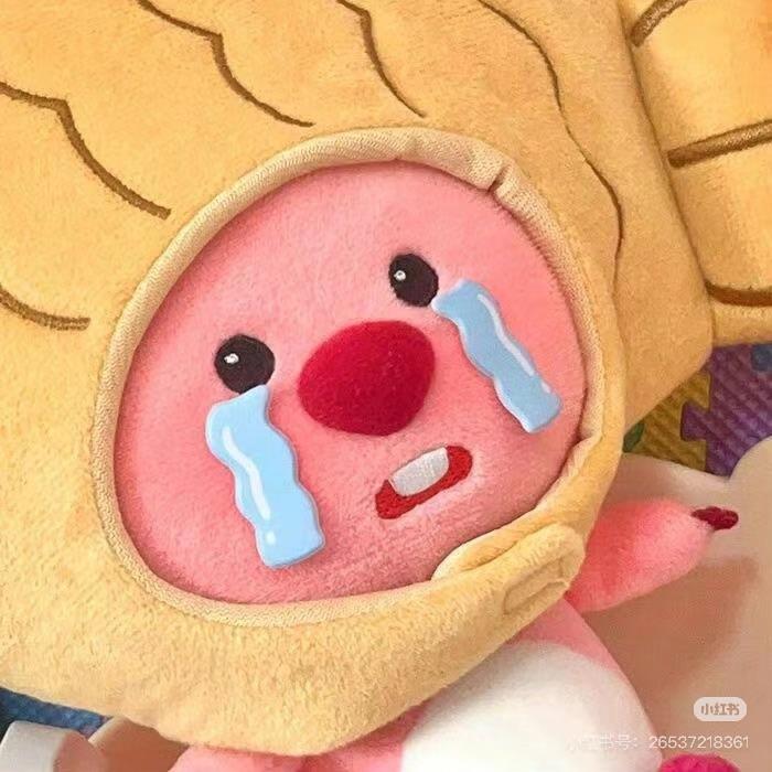 我的钱包哭了
