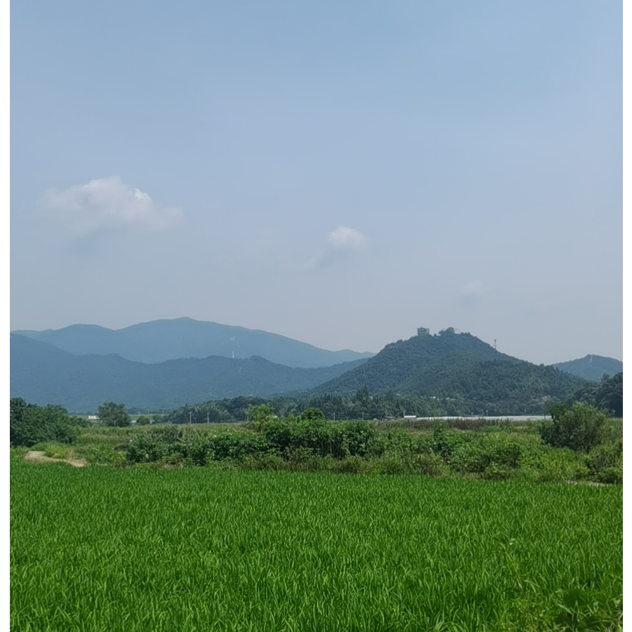 思念