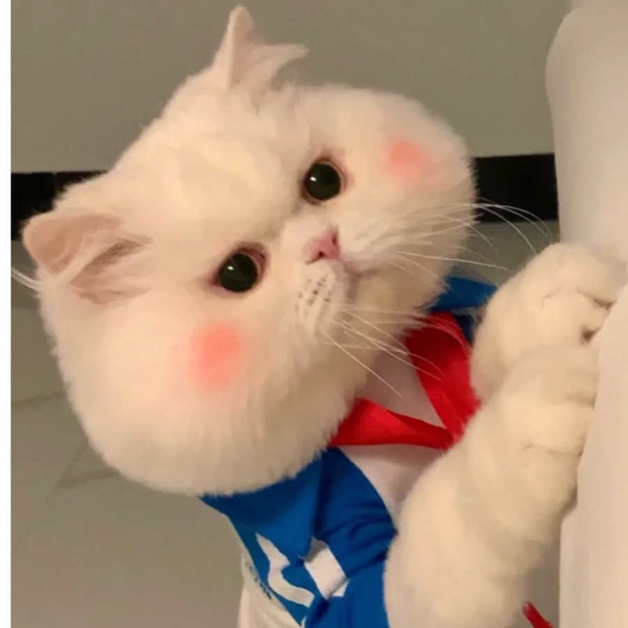 小仓鼠啊