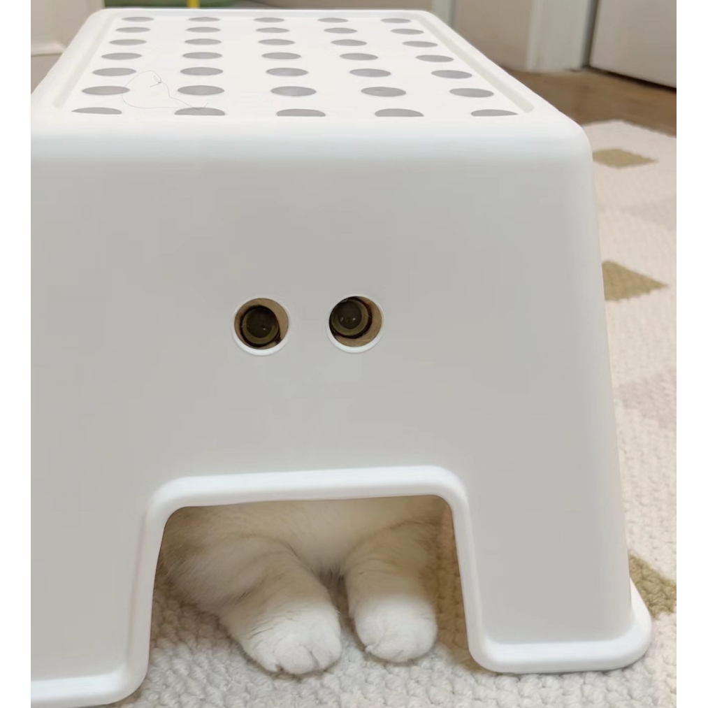 睡什么睡起来玩