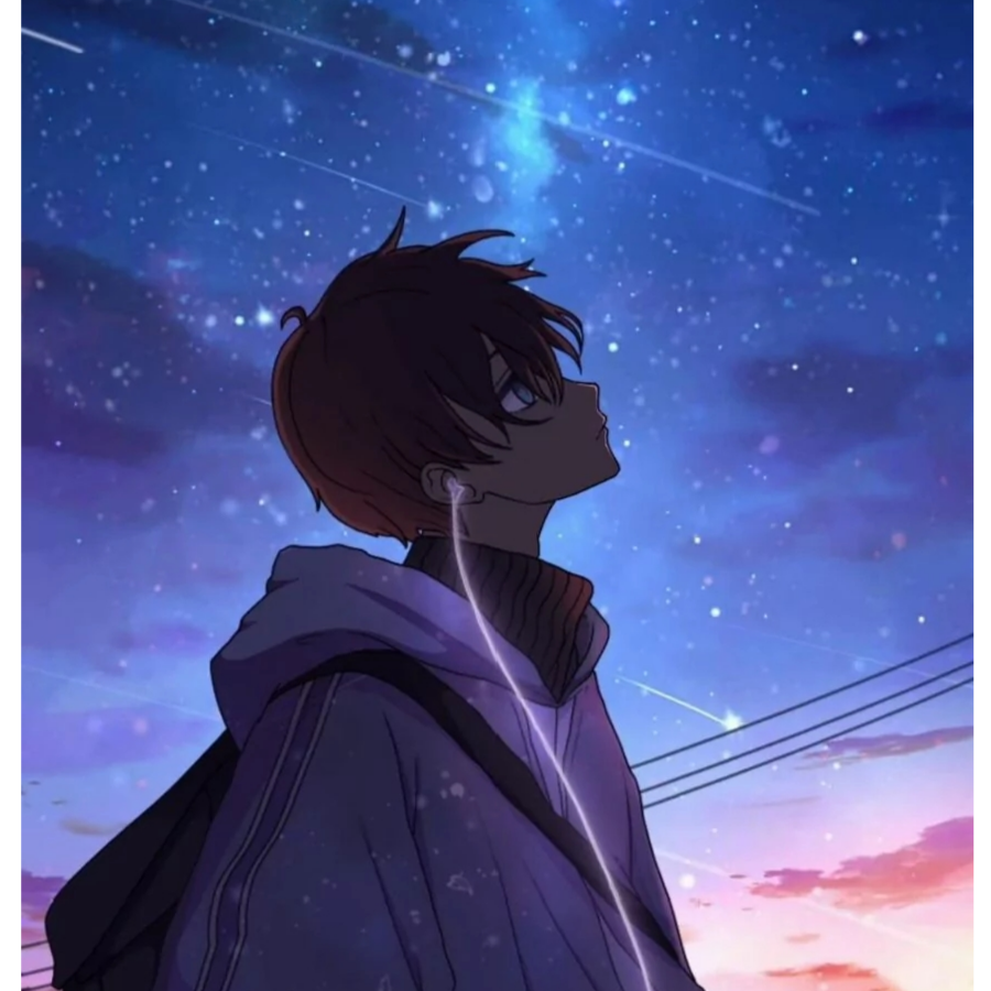 手机用户40517411