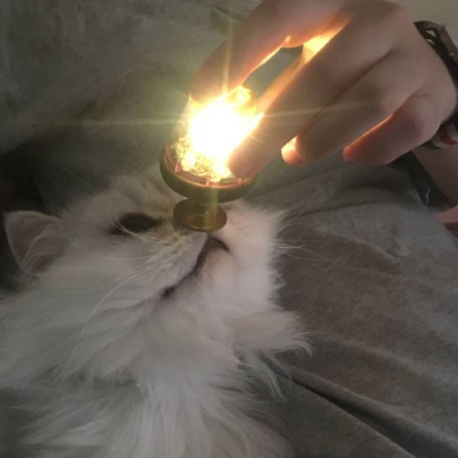 李小默
