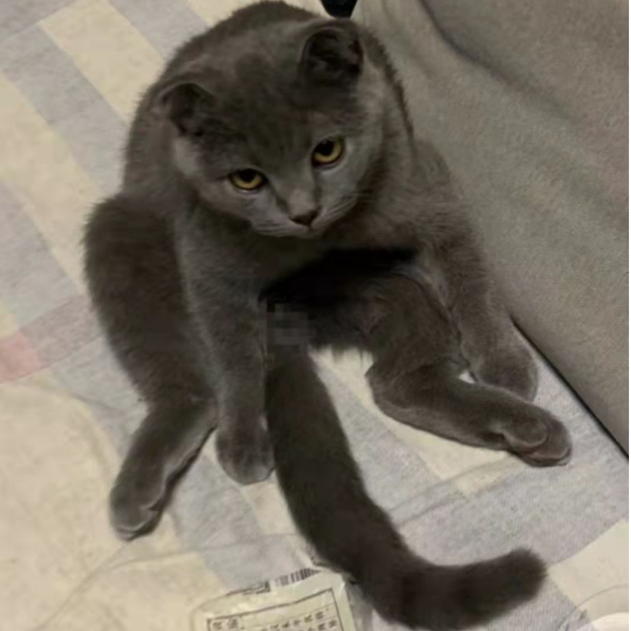 遵纪守法我可以