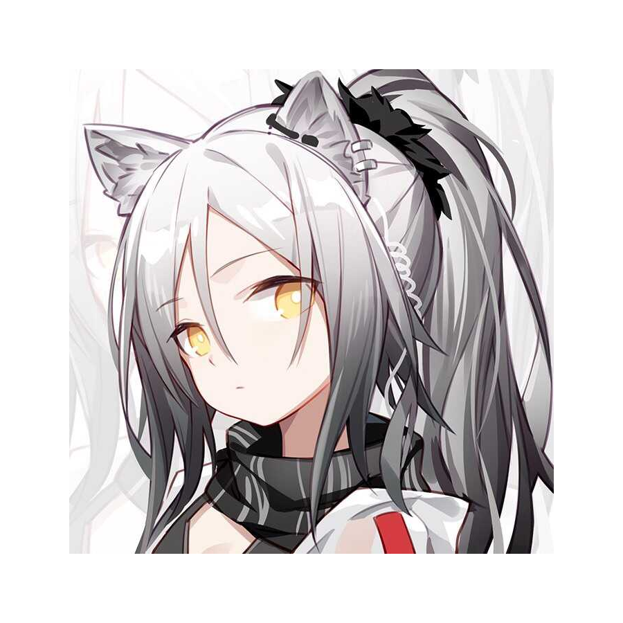 从零开始