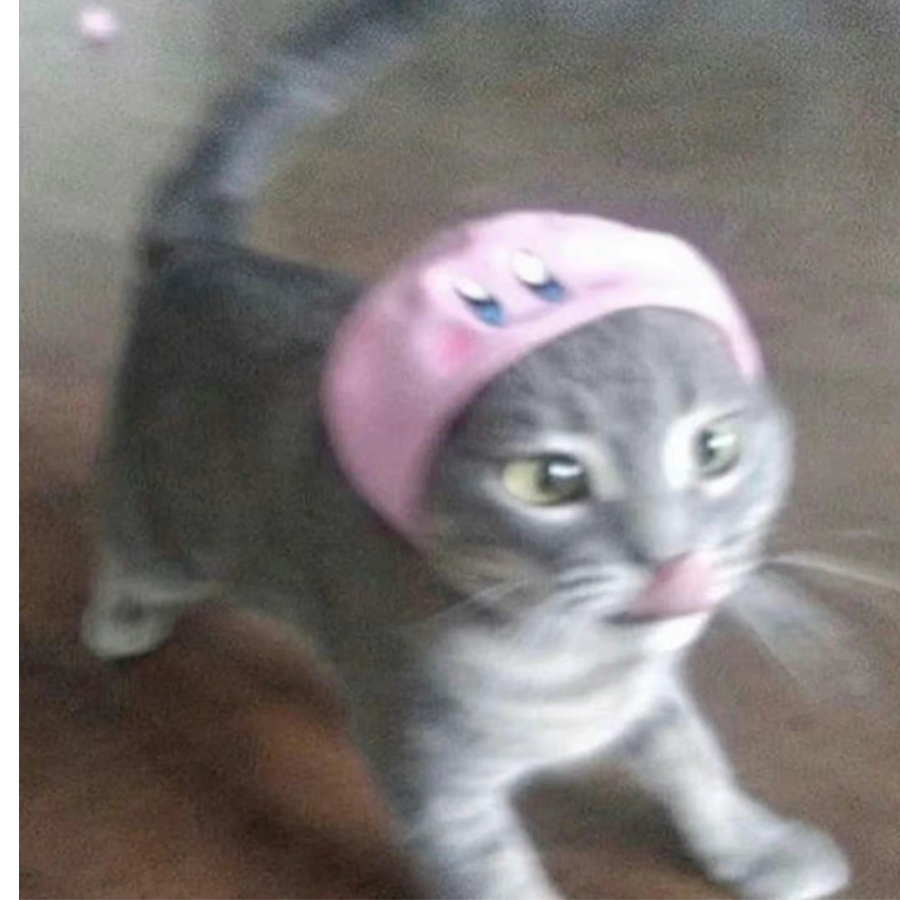 烤鸭