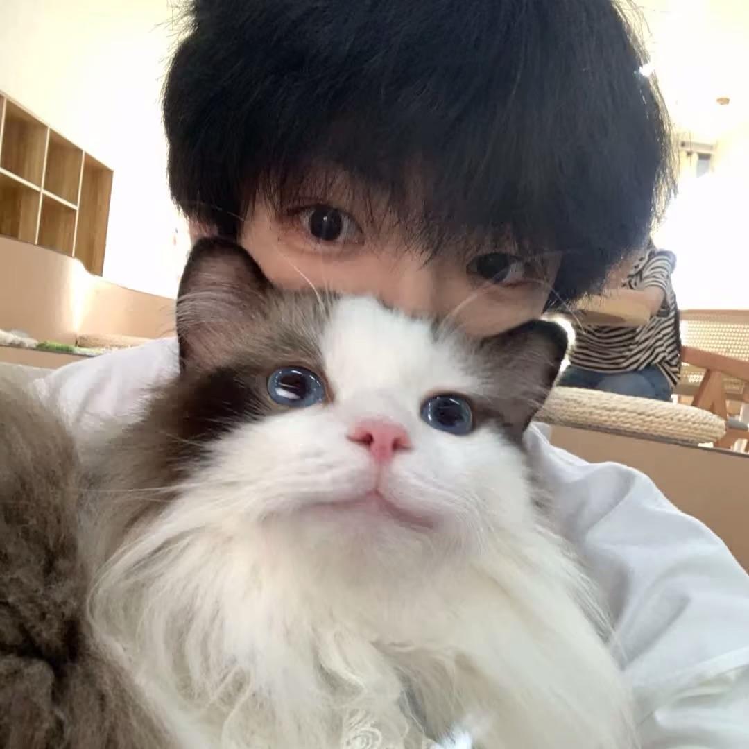 小绒猫