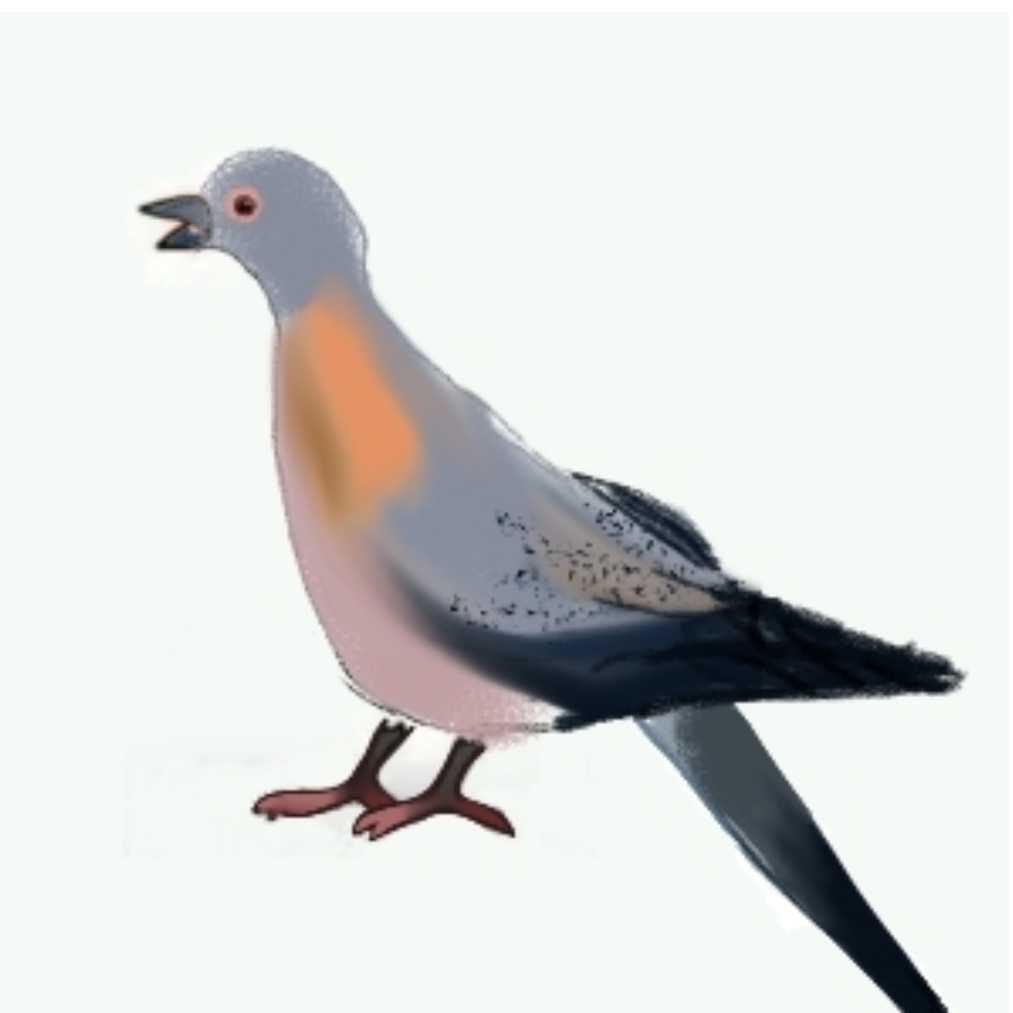 Geppei