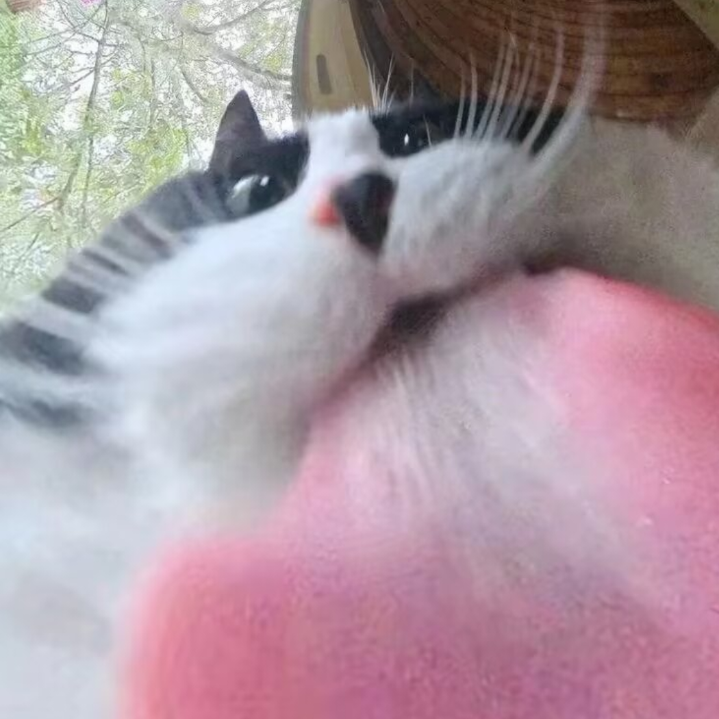 今夜有雨