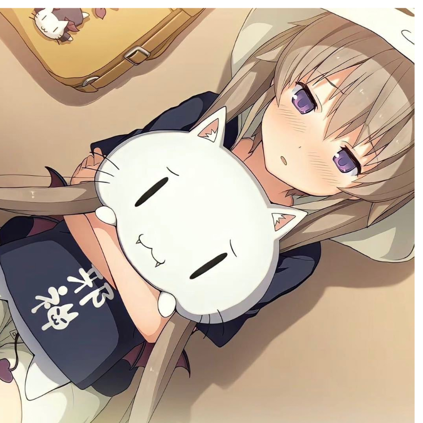 蕾塞