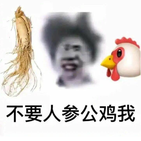 岳博文