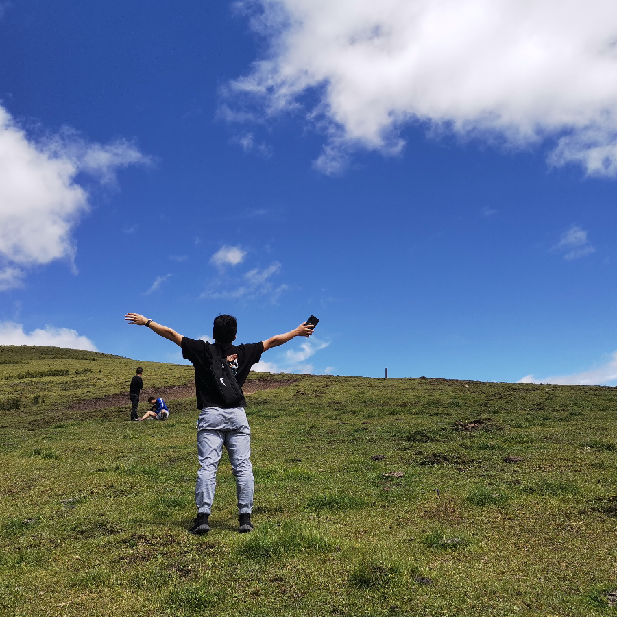 满城尽带黄金甲