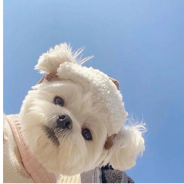 好陌生