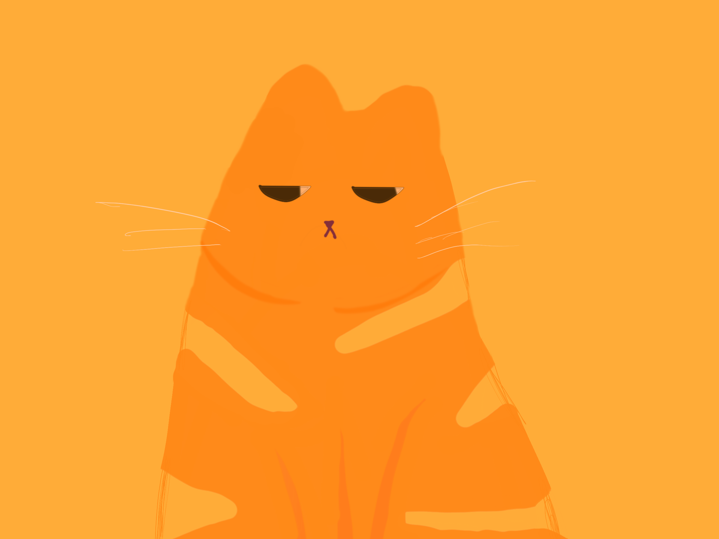 橘猫