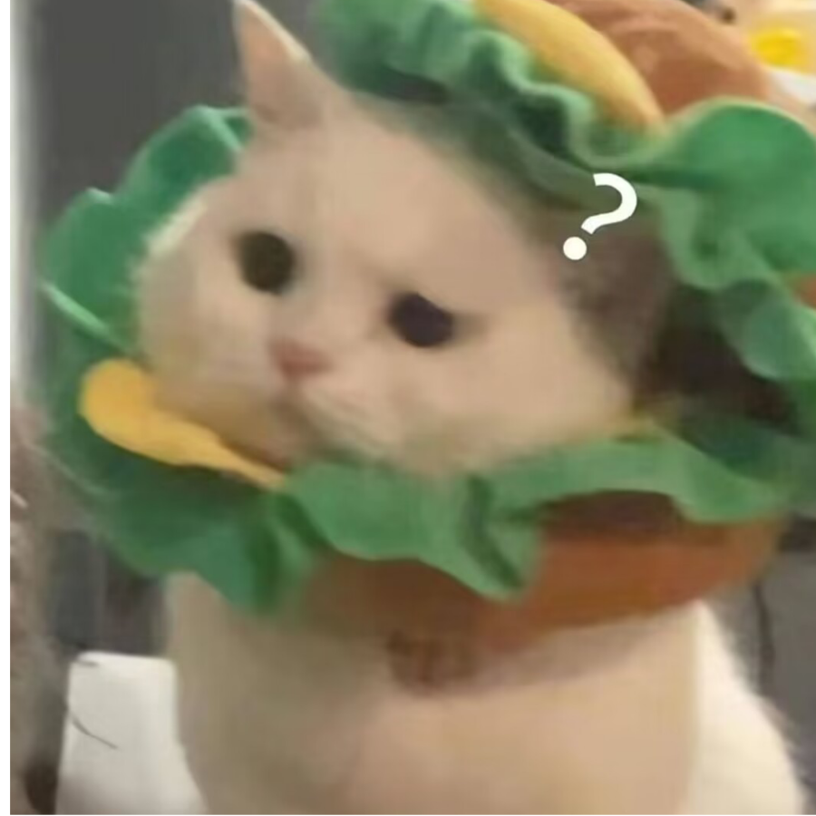 喵猫