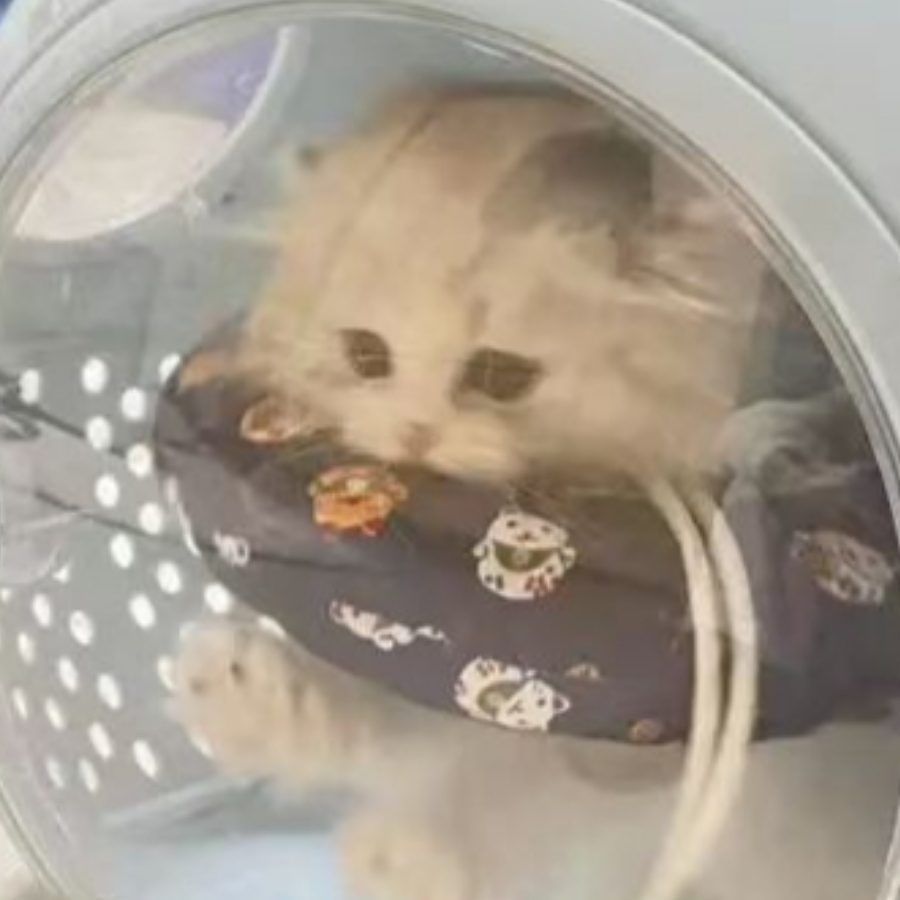 蜡笔要小心