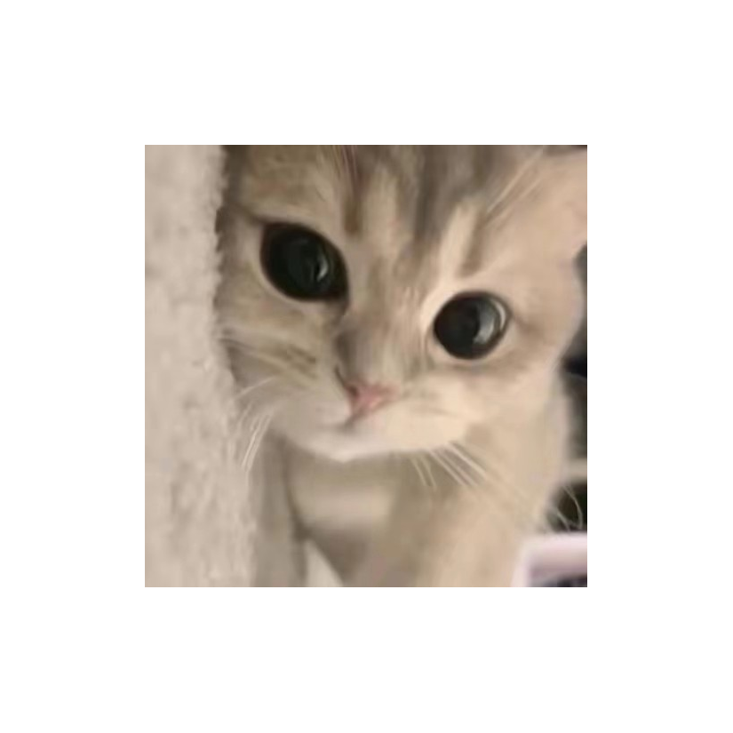 悲伤可乐饼