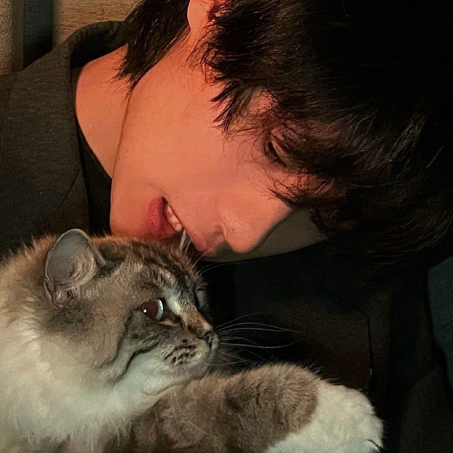 黎明觉醒白小羊