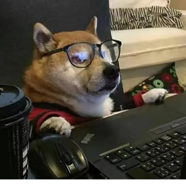狗狗剑仙