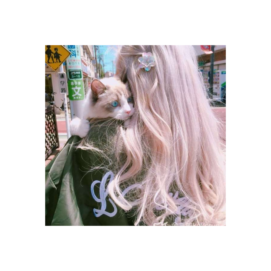 诗音沫涵.