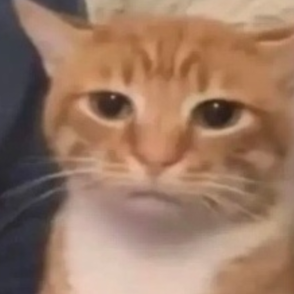 牛虻