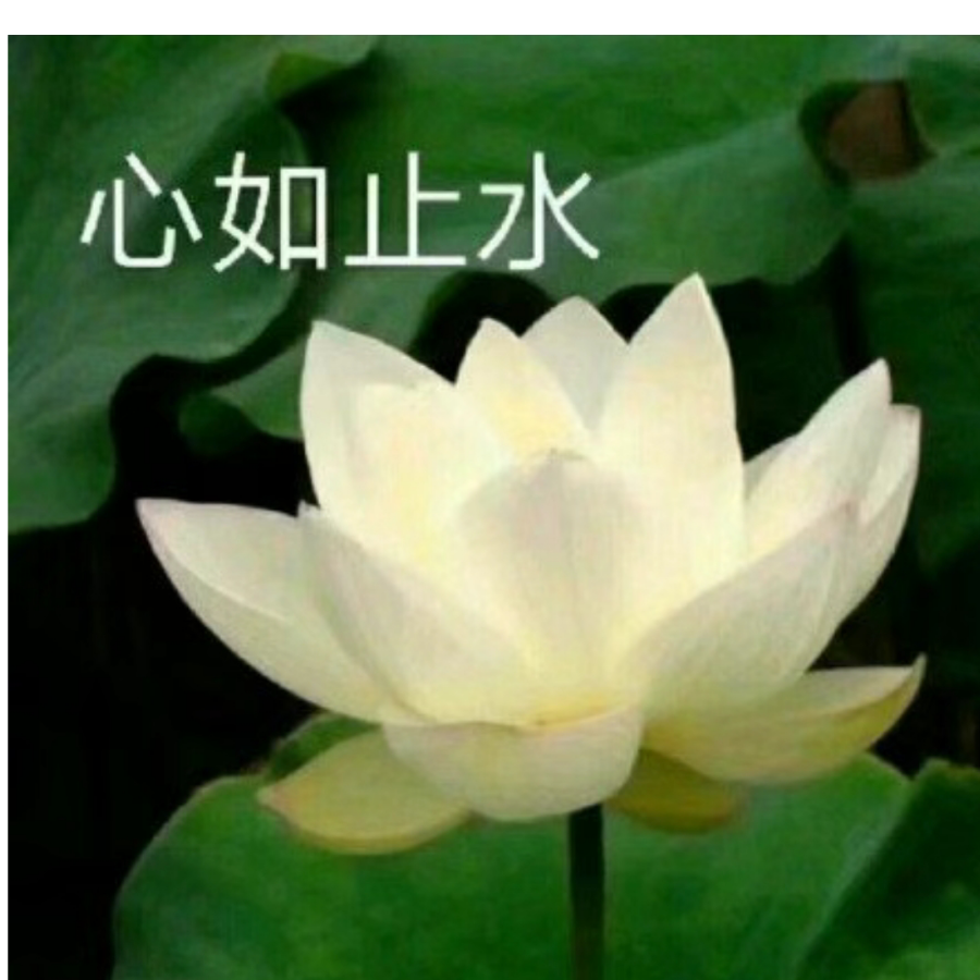 与世无争