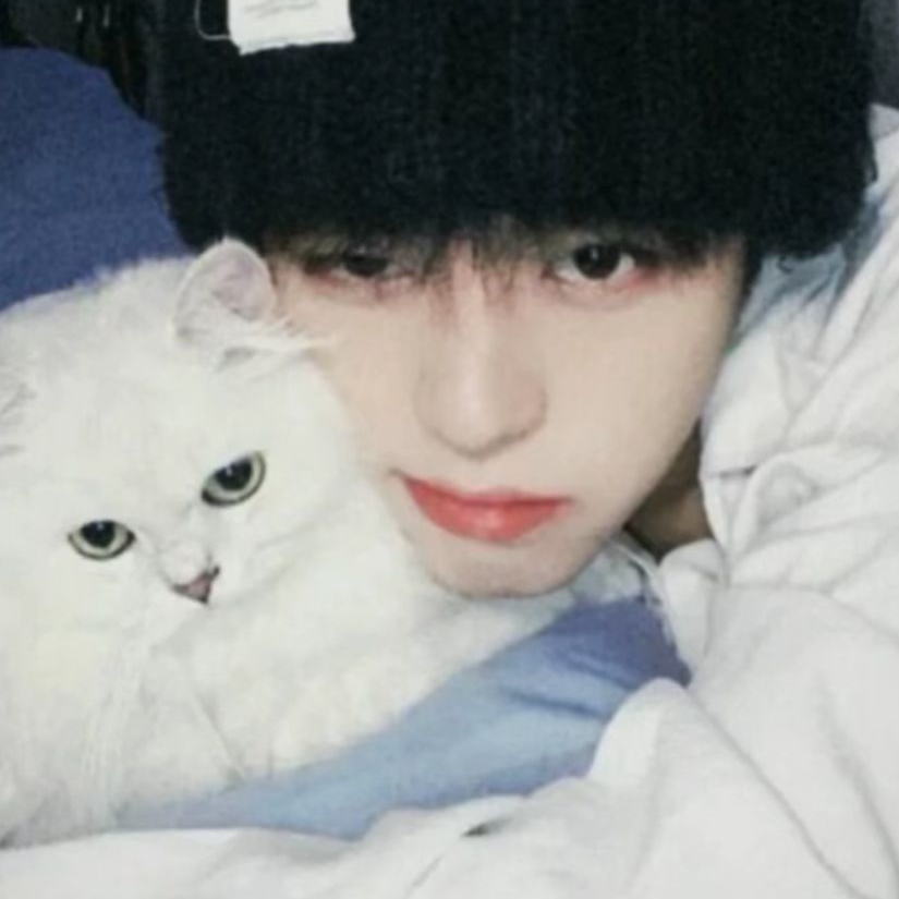 降低弟弟快递可