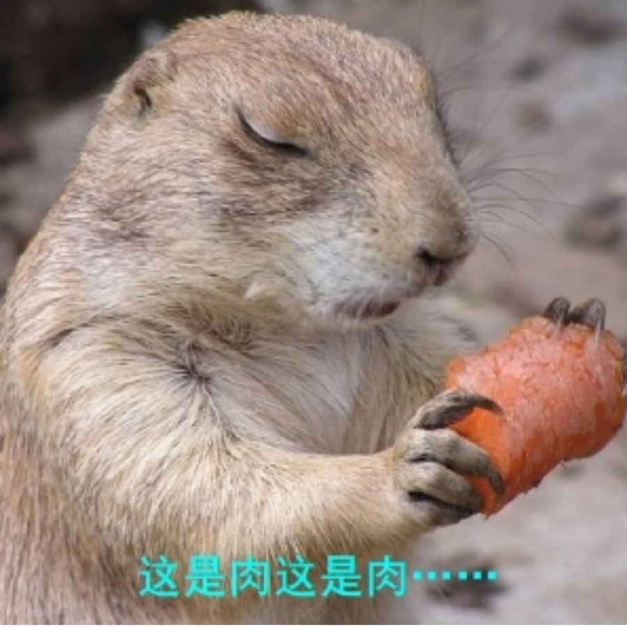 厉害的路由器
