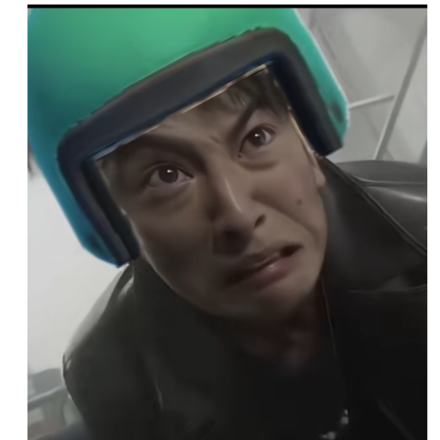 呆呆鸽