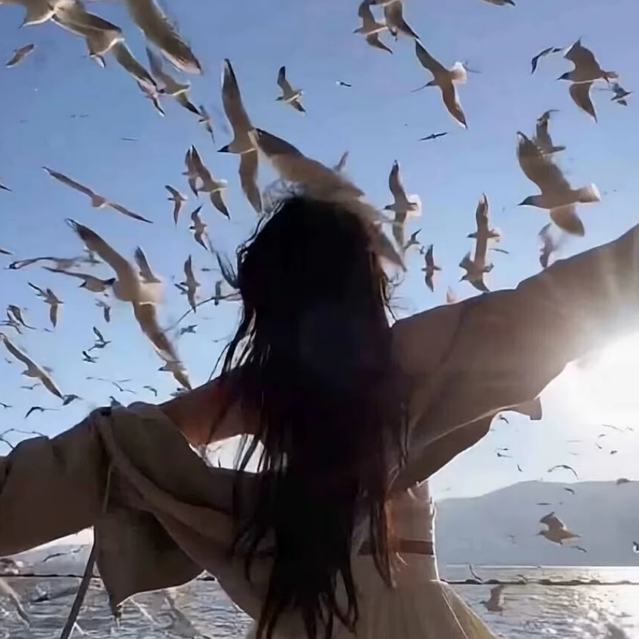 梧榆