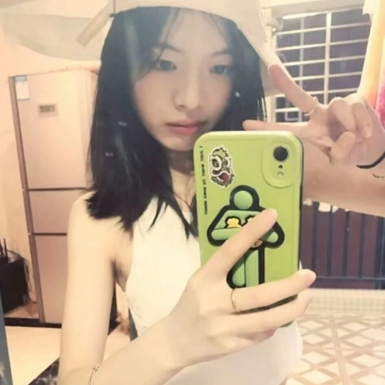 倦鹤.