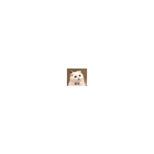 User73619624