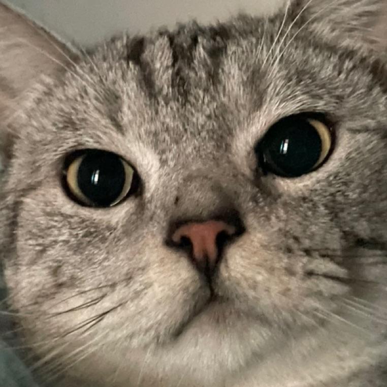 En