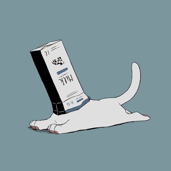 白茶