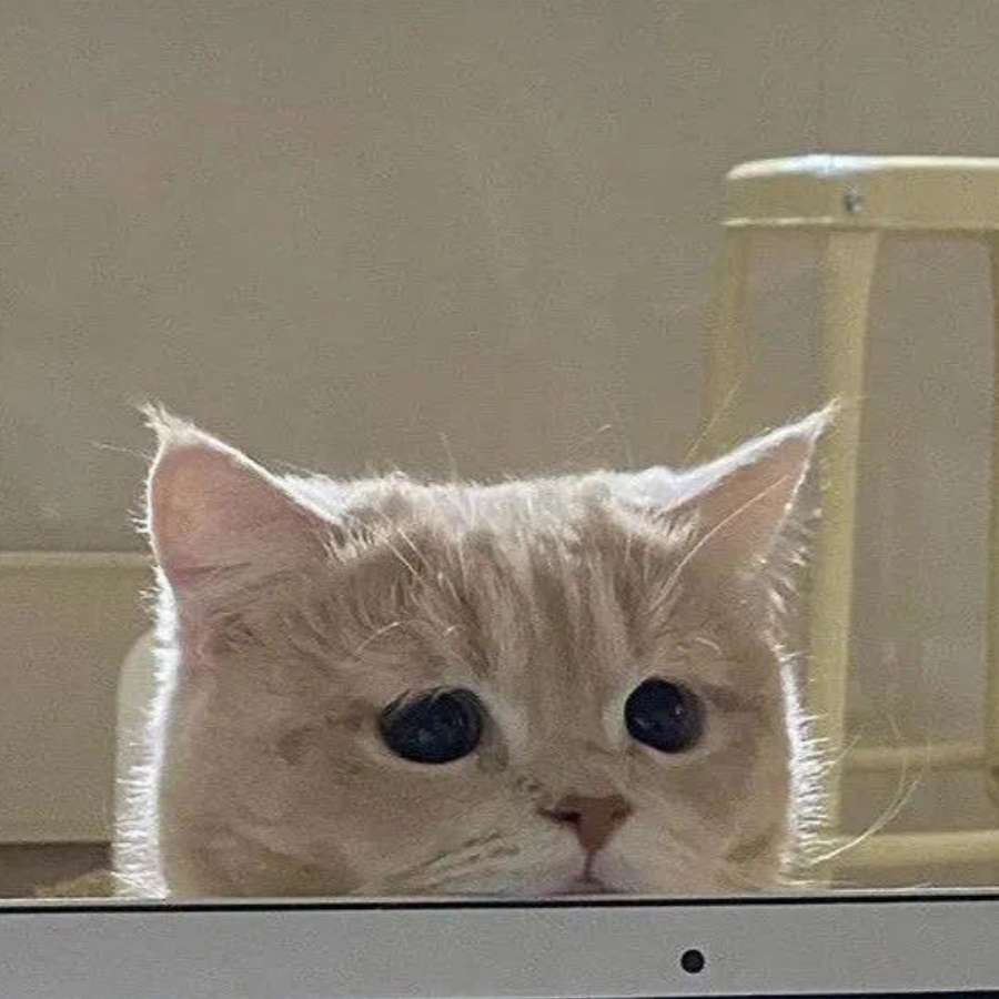 青椒好难吃