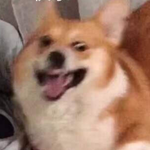 狗额