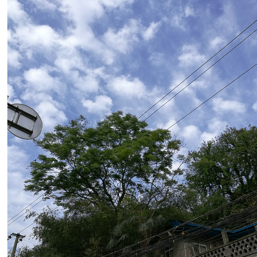 炎舞春秋