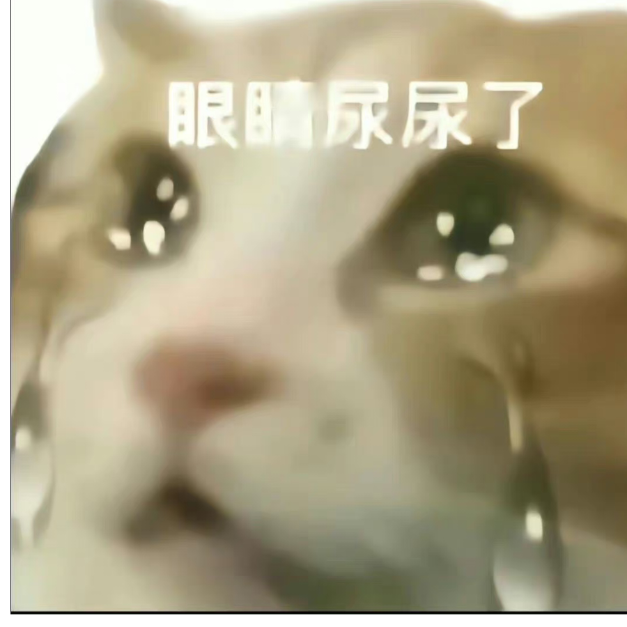 荞啊荞啊荞